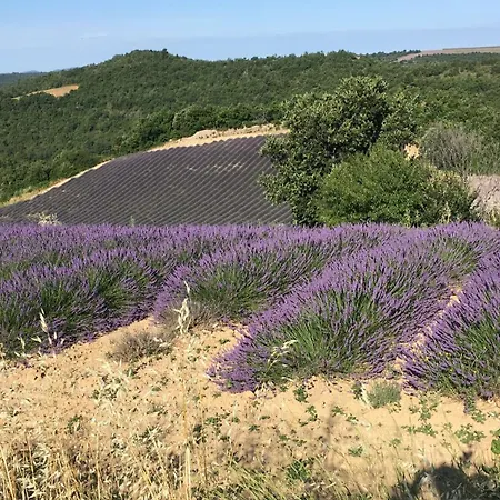 Place Du Village Haute Provence