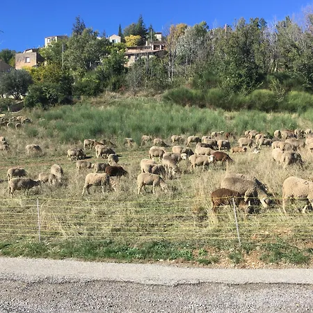 Place Du Village Haute Provence